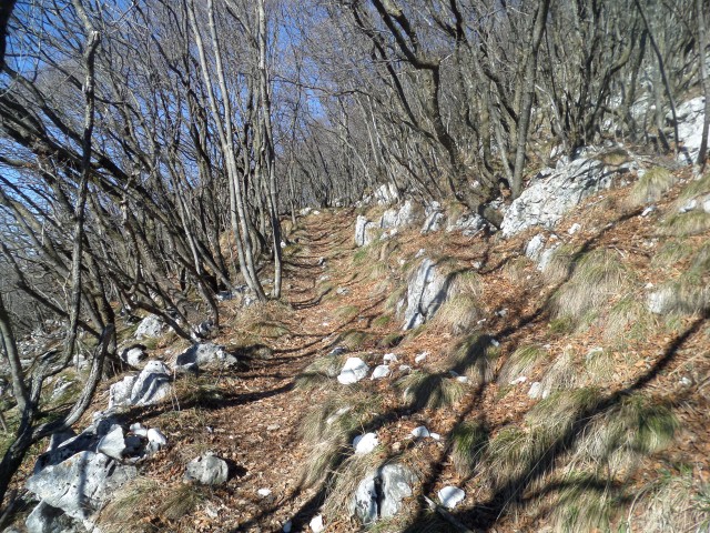 cosa vedere sul lago 