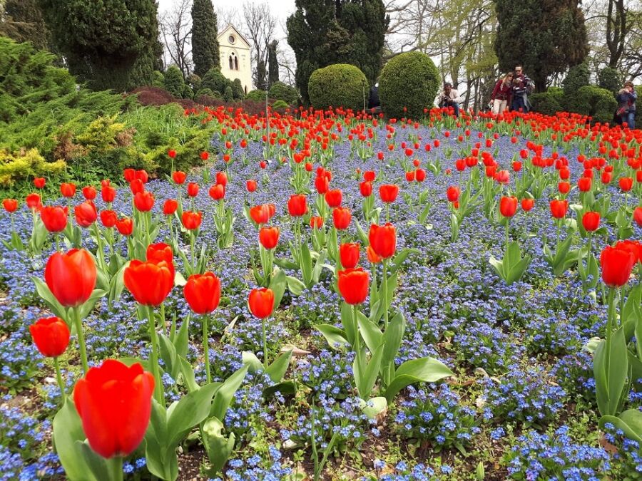 Un giardino delle meraviglie? Il parco Sigurtà! thumb