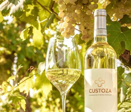 I Vini del Garda thumb