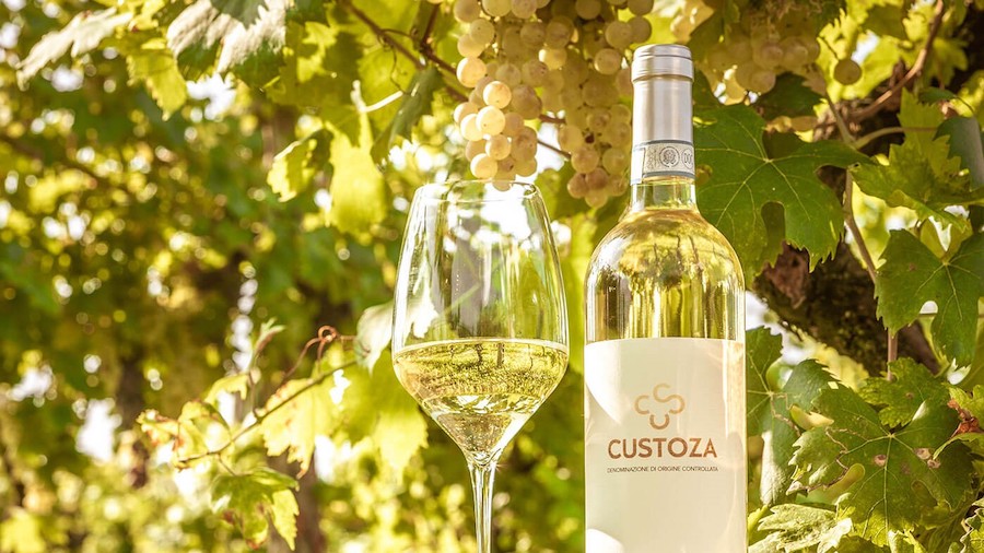 I Vini del Garda thumb