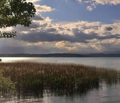Oasi di San Francesco a Desenzano thumb