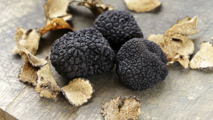 Lago di Garda: Agrumi, Olii e Tartufi pregiati thumb