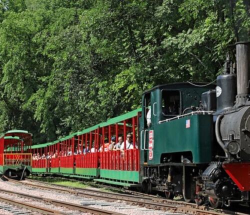 Il vecio trenin: la linea ferroviaria MAR thumb